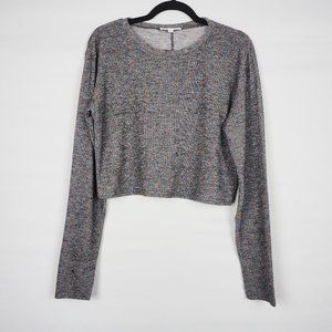 Wild Honey Cropped Long Sleeve Top Gray Shimmer L